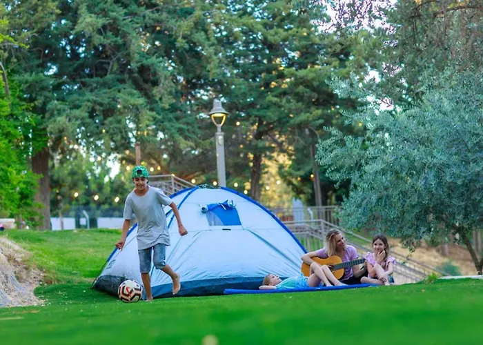 Peace Forest Jerusalem - Cabins & Caravans By City Of David